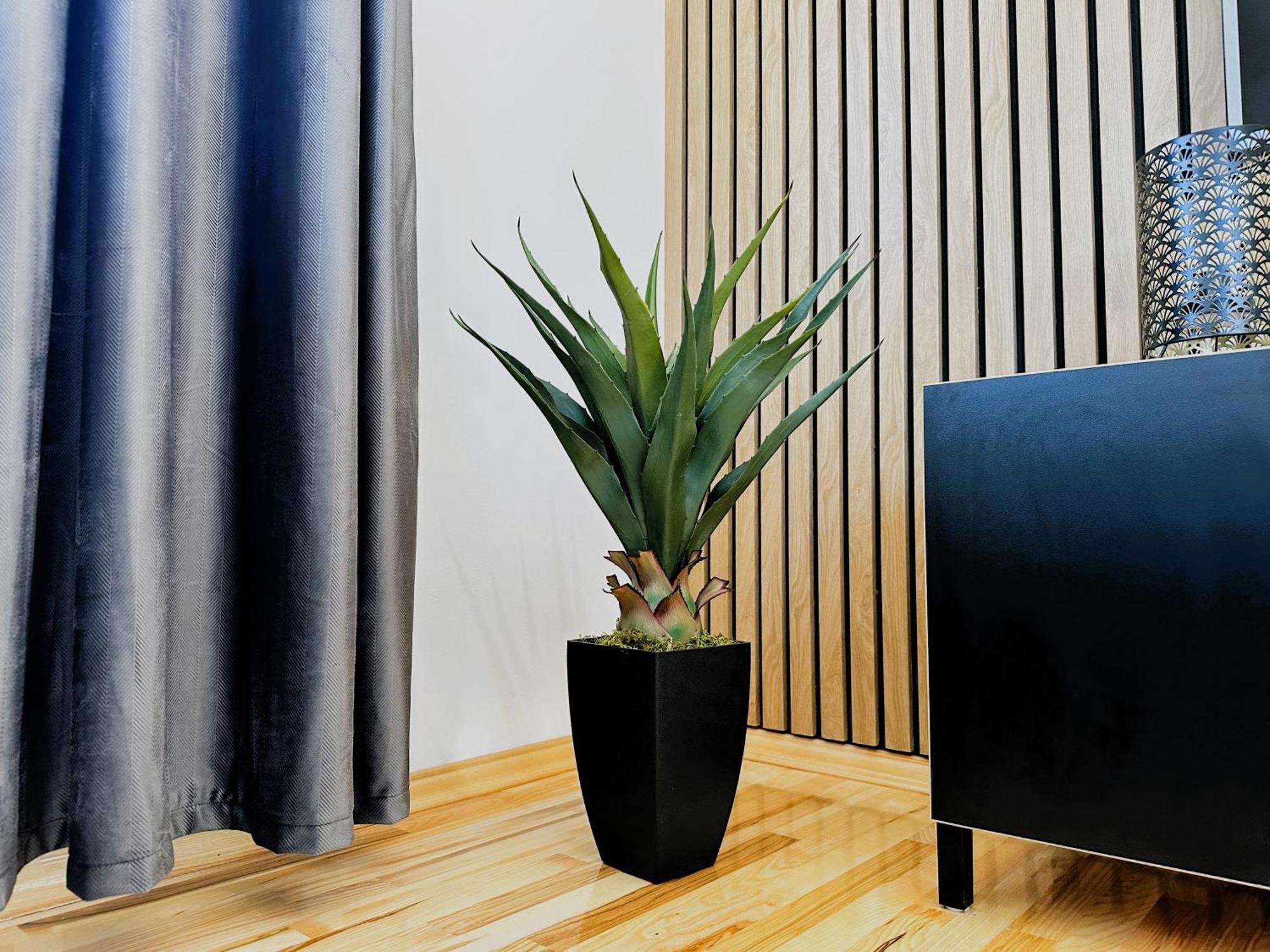 Modern And Spacious Apartment Helena Near The Beach 프리블라카 외부 사진
